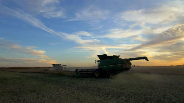 Providence Grain 004