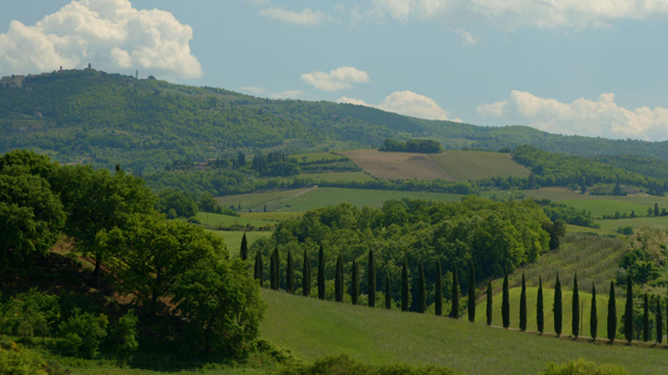 Panico 5 604x339